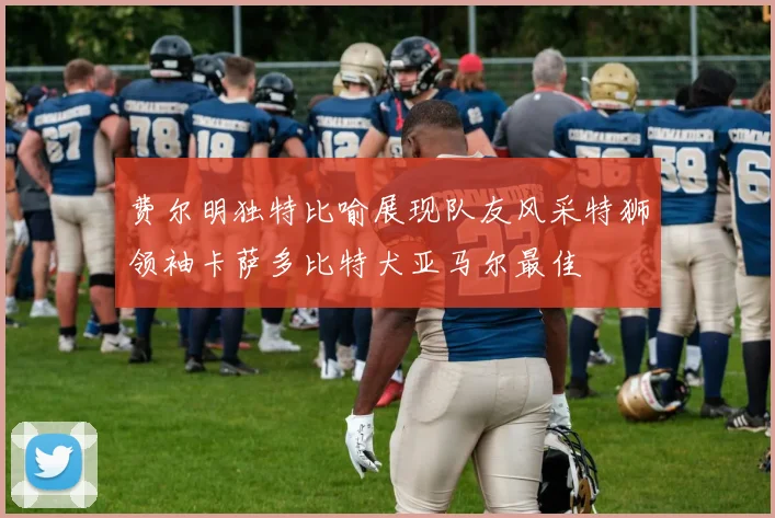 费尔明独特比喻展现队友风采特狮领袖卡萨多比特犬亚马尔最佳