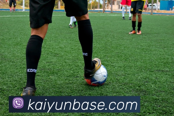 开云体育APP 高清赛事图